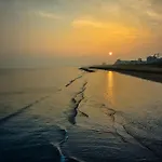 Sunny By The