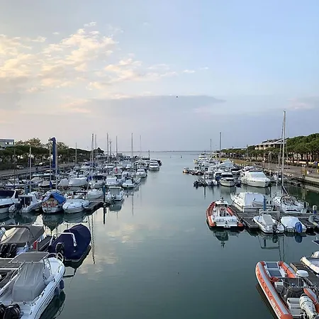 Sunny By The